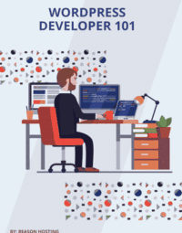 WordPress Developer 101